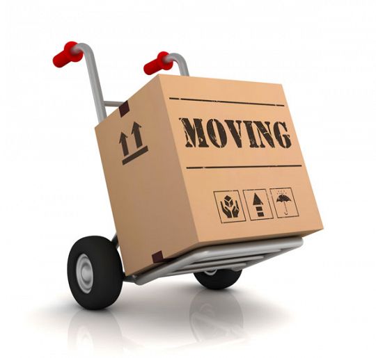 box-moving-img-1722420316.jpg